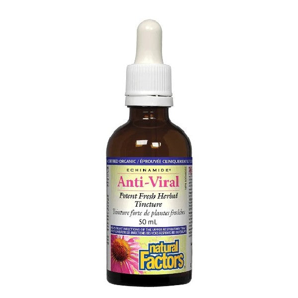 Anti-Viral Echinamide Natural Factors (50 ml)