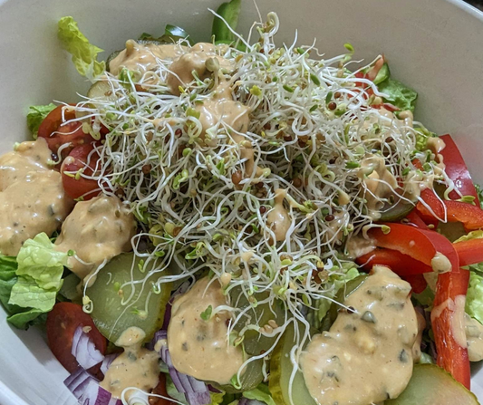 Salade Hamburger santé
