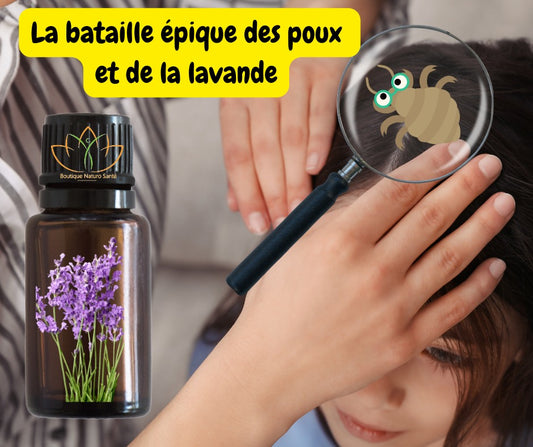 La bataille épique des poux et de la lavande